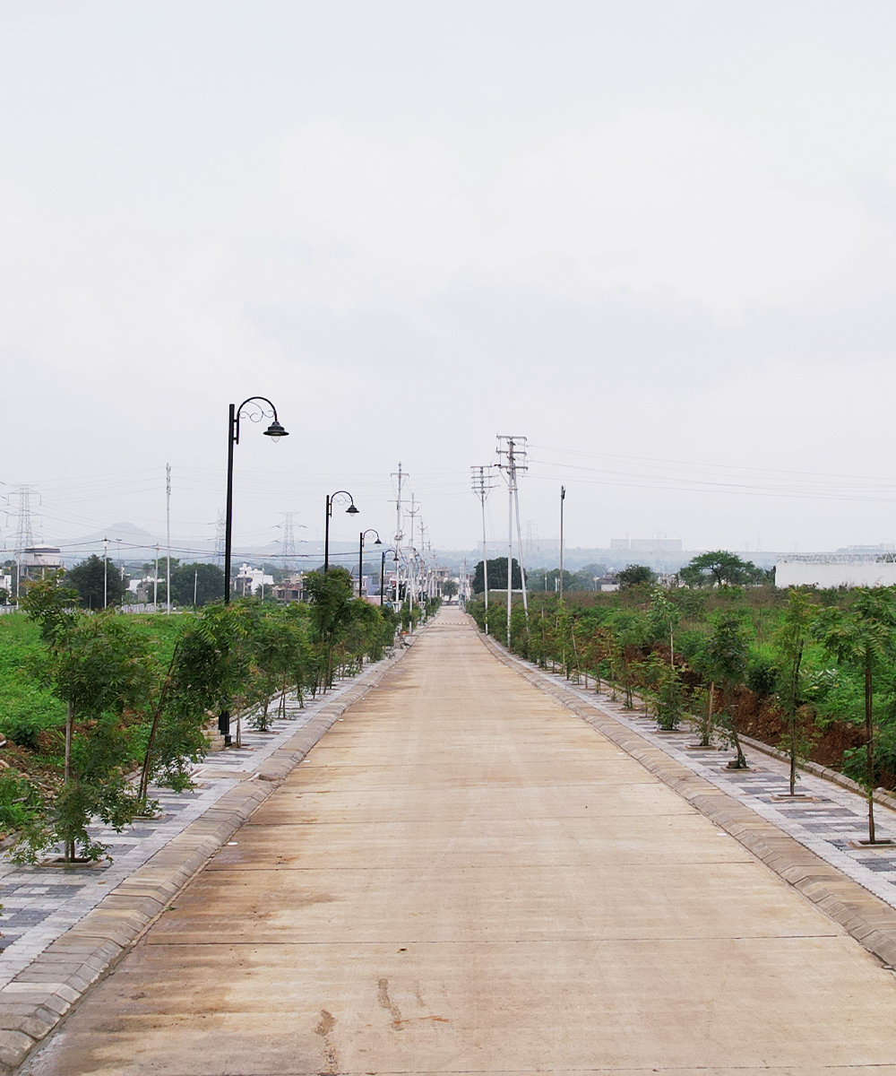 AHV Plantation